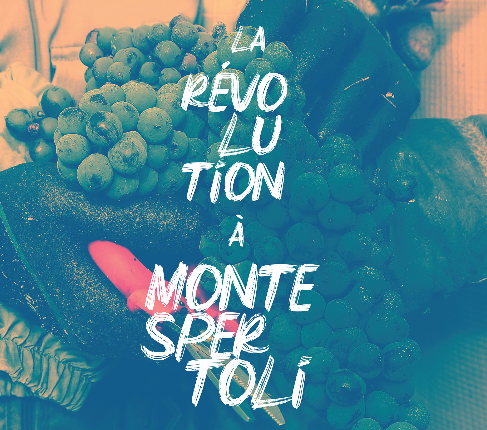 La Révolution à Montespertoli – Una nuova idea di vino, vigna e viticoltore